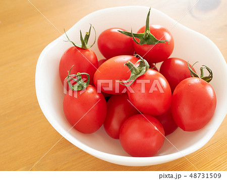 ミニトマト ミニトマト 48731509