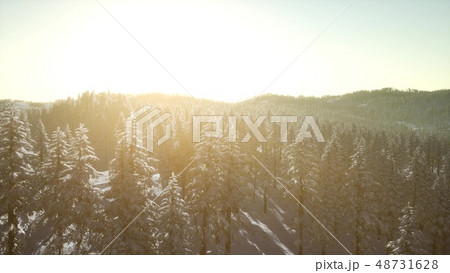 Colorful Winter Sunrise in the Mountains Colorful Winter Sunrise in the Mountains 48731628