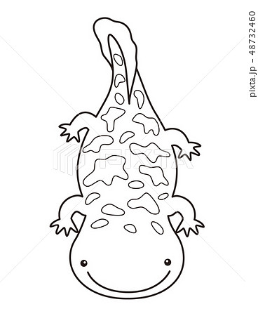 オオサンショウウオ ハンザキ Giant Salamander ぬりえのイラスト素材