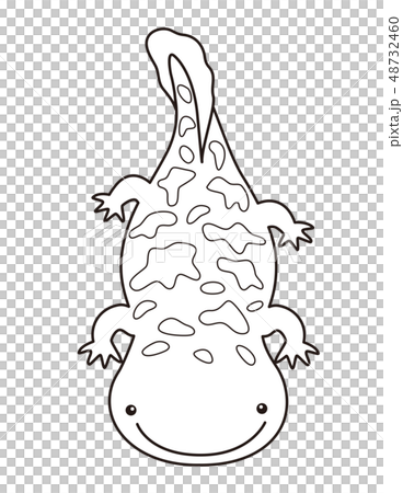 オオサンショウウオ ハンザキ Giant Salamander ぬりえのイラスト素材