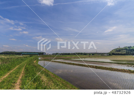 春の四街道市の田園風景 48732926