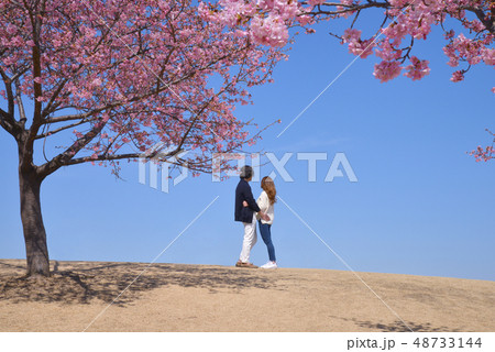 河津桜と二人 河津桜と二人 48733144