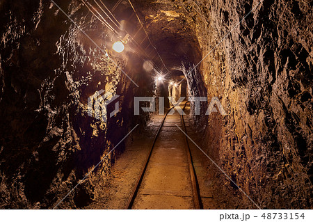 Old Mine Tunnel 48733154
