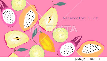透明水彩 水彩画 フルーツ 48733186