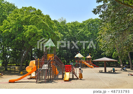 茨城県つくば市　洞峰公園 48733793