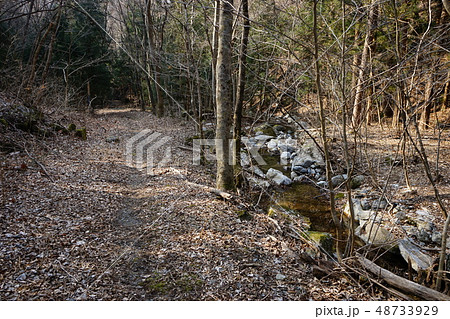 岩泉ひょうたん穴遺跡までの山道 岩泉ひょうたん穴遺跡までの山道 48733929