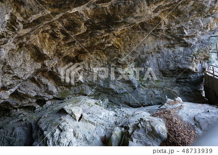 岩泉ひょうたん穴遺跡までの山道 岩泉ひょうたん穴遺跡までの山道 48733939