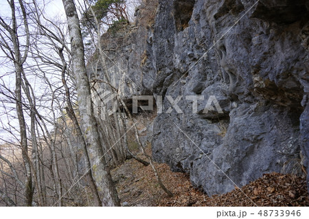 岩泉ひょうたん穴遺跡までの山道 岩泉ひょうたん穴遺跡までの山道 48733946