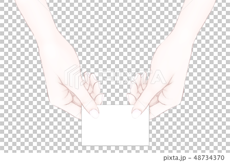 名刺交換　白い名刺を差し出す女性の手 48734370