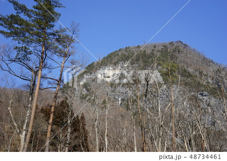 岩泉の洞窟 岩泉の洞窟 48734461