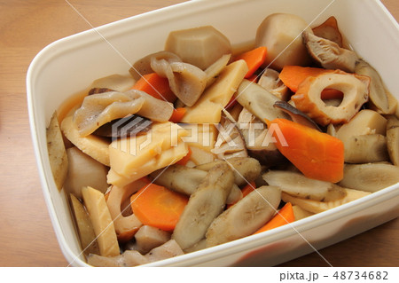 作り置き料理。プラスチック容器に入れられた野菜の煮物。 作り置き料理。プラスチック容器に入れられた野菜の煮物。 48734682