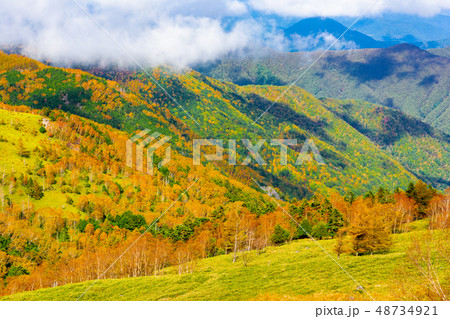 美ヶ原高原の秋【長野県】 48734921