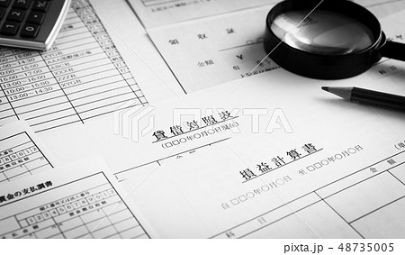 税務調査 経理 財務諸表 貸借対照表 経営 税務調査 経理 財務諸表 貸借対照表 経営 48735005