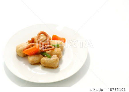 イカ里芋 煮物 白背景 イカ里芋 煮物 白背景 48735191