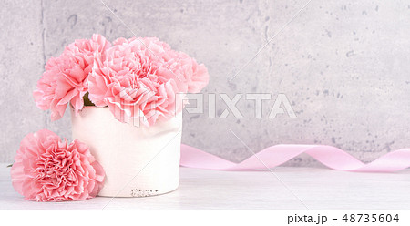 母の日 マザーズデー マザーズデイ 48735604