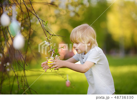 little boy hunts for easter egg on branch  48736330