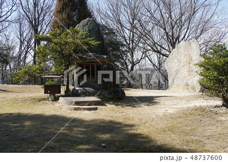 日本最大の弥生墳丘墓・楯築遺跡3 岡山県倉敷市 日本最大の弥生墳丘墓・楯築遺跡3 岡山県倉敷市 48737600