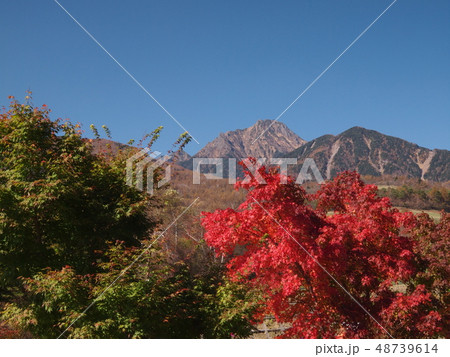 紅葉の八ヶ岳 48739614