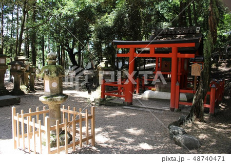 春日大社・祓戸神社 48740471