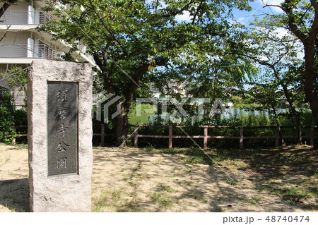 須磨寺公園・堂谷池 須磨寺公園・堂谷池 48740474