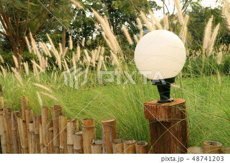 Decorative lamp pole in park 48741203