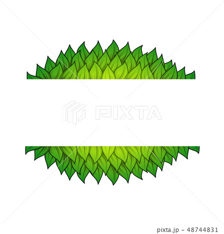 Horizontal leaves frame 48744831