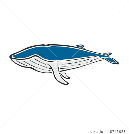 Whale character abstract ink hand drawn vector logo cartoon. Color illustration. Marine wild mammal 48745023