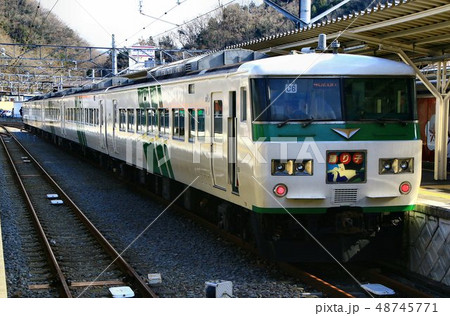 伊豆の踊り子・修善寺駅に停まる１８５系・特急踊り子 48745771