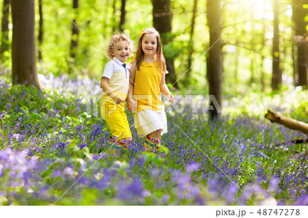 Kids in bluebell woods. Children play in park. 48747278