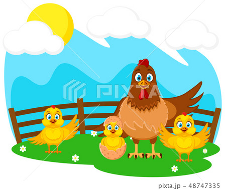 Mother hen and baby Chicks on the green lawn. Farm Mother hen and baby Chicks on the green lawn. Farm 48747335