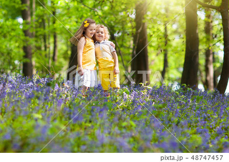 Kids in bluebell woods. Children play in park. 48747457