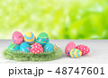 Easter eggs season 48747601