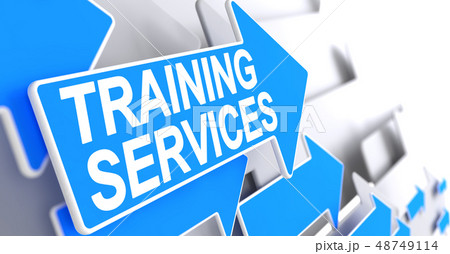 Training Services - Inscription on the Blue Arrow. 3D. Training Services - Inscription on the Blue Arrow. 3D. 48749114