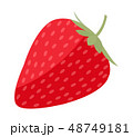 いちご 48749181
