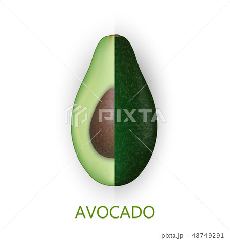 Realistic 3d avocado fruit isolated on white 48749291