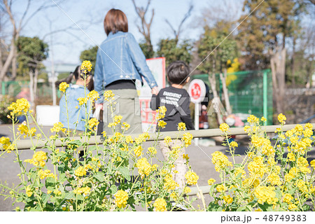 菜の花と家族 48749383