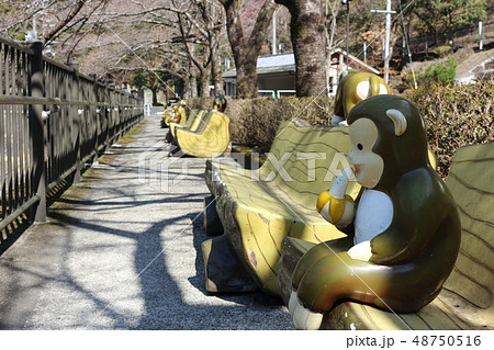 サルのベンチ　奈良県　猿谷ダム 48750516