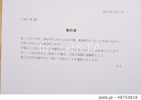 誓約書（不倫・浮気相手） 48750818