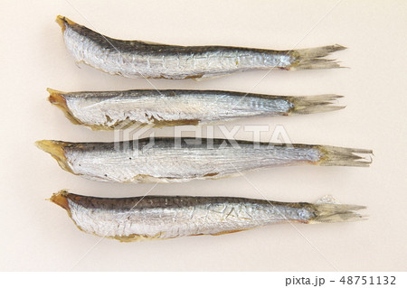 千葉県九十九里のせぐろいわしの丸干し 48751132