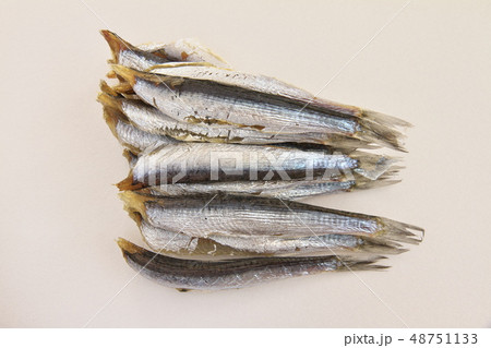 千葉県九十九里のせぐろいわしの丸干し 48751133