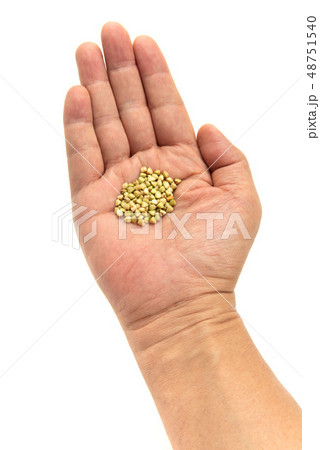 蕎麦の実 48751540