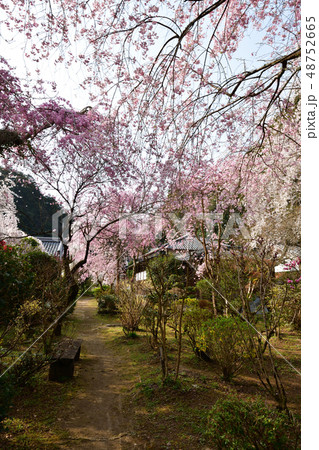 大野寺より 48752665