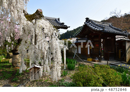 大野寺より 48752846