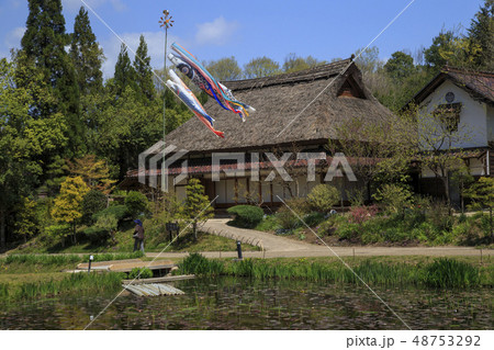 鯉のぼり 山里の春景色 鯉のぼり 山里の春景色 48753292