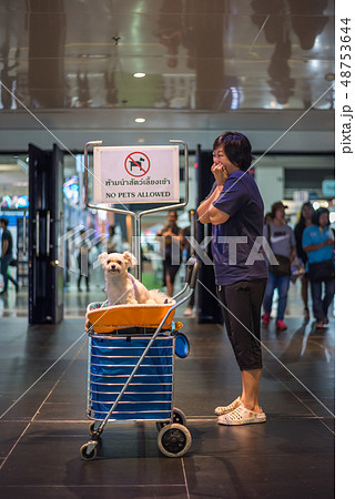 Asian woman and the dog with sign No Pets Allowed Asian woman and the dog with sign No Pets Allowed 48753644