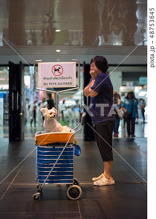 Asian woman and the dog with sign No Pets Allowed Asian woman and the dog with sign No Pets Allowed 48753645