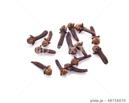 dry cloves on white background 48756070