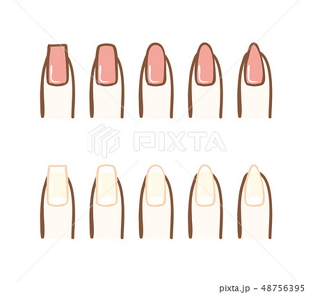 爪の形 種類 ネイルのイラスト素材