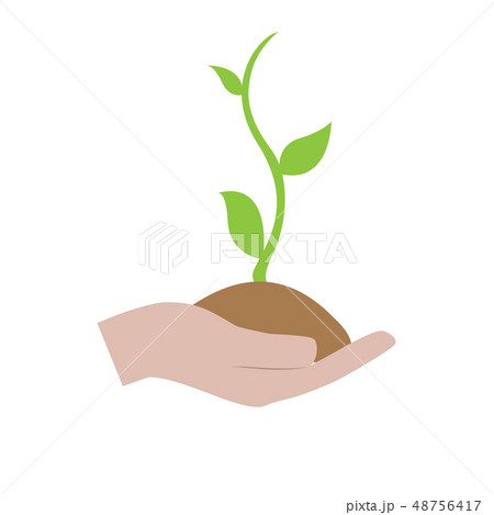 Isolated plant on a hand 48756417