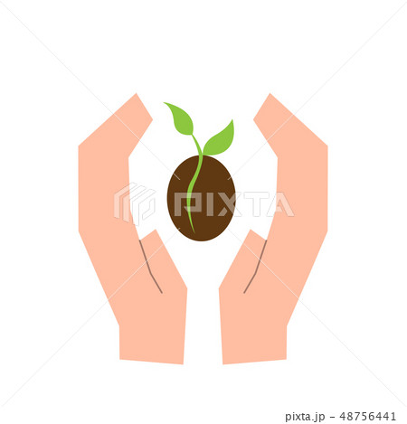 Isolated hands with a plant Isolated hands with a plant 48756441